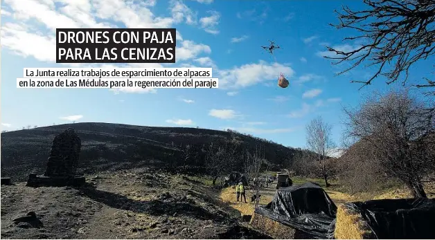 DRONES CON PAJA PARA LAS CENIZAS
