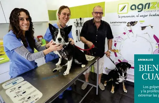 BIENESTAR CON CUATRO PATAS