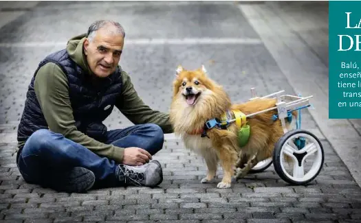 LA FUERZA DEL CARIÑO