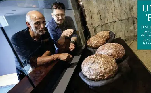 UNA NUEVA ‘RELIQUIA’