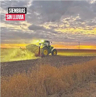 SIEMBRAS SIN LLUVIA