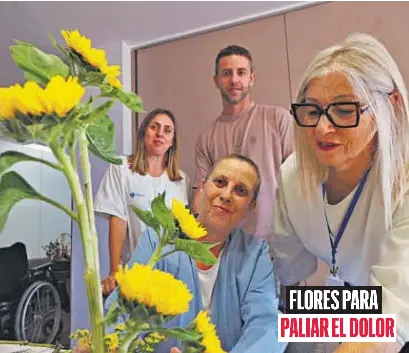 FLORES PARA PALIAR EL DOLOR