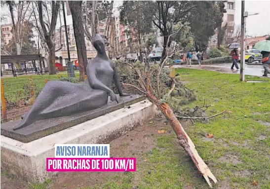 POR RACHAS DE 100 KM/H