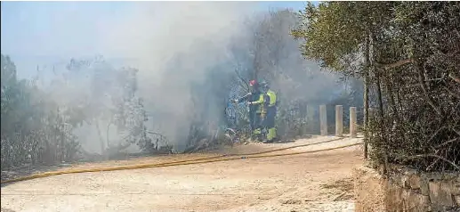 ALARMA POR UN INCENDIO EN PUIG DES MOLINS