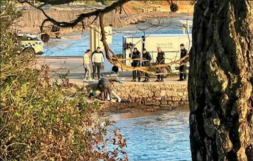 MACABRO HALLAZGO EN S’ARGAMASSA