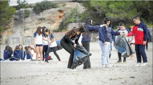 CALA GRACIÓ LUCE MÁS LIMPIA