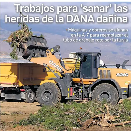 TRABAJOS PARA ‘SANAR’ LAS HERIDAS DE LA DANA DAÑINA