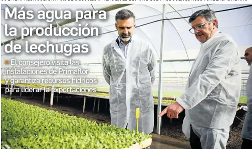 MÁS AGUA PARA LA PRODUCCIÓN DE LECHUGAS