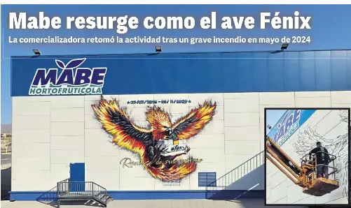 MABE RESURGE COMO EL AVE FÉNIX