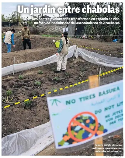 UN JARDÍN ENTRE CHABOLAS
