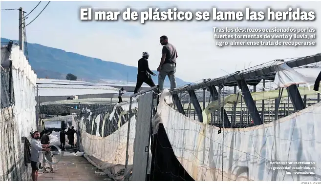 EL MAR DE PLÁSTICO SE LAME LAS HERIDAS