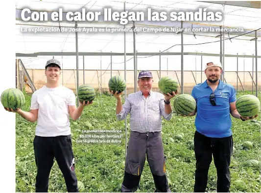CON EL CALOR LLEGAN LAS SANDÍAS