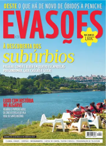 Evasões - 31 mai 2019