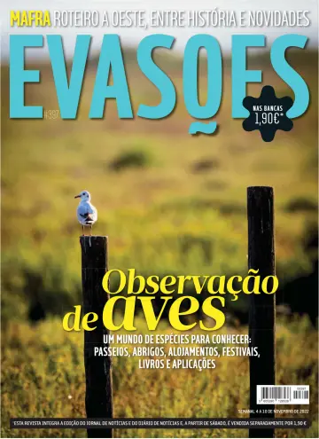 Evasões - 04 nov. 2022