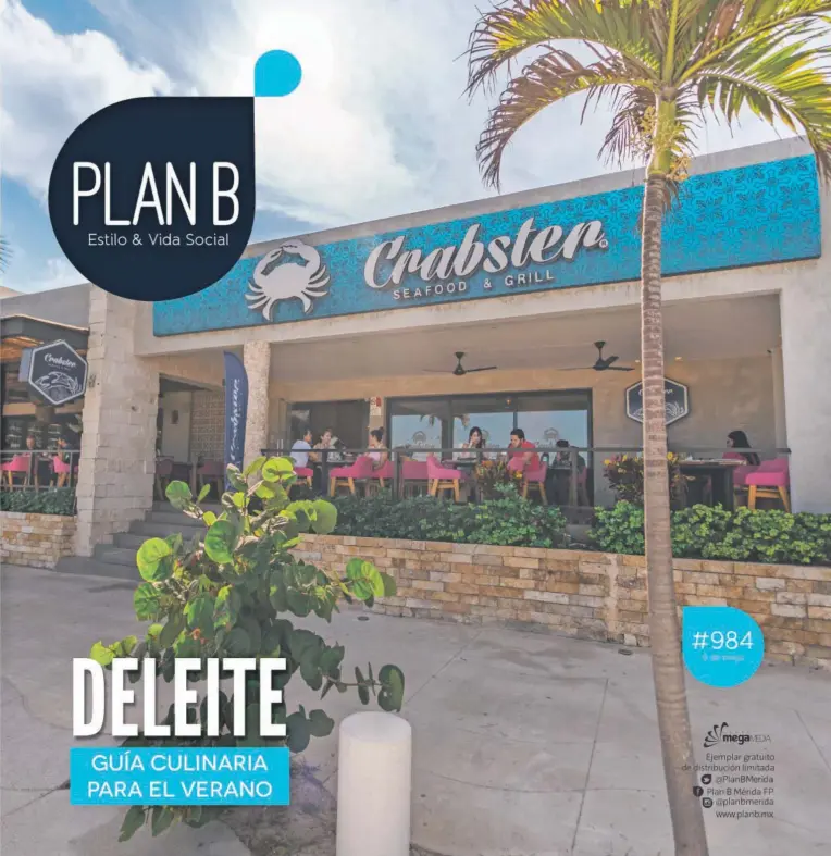 Diario de Yucatán - Plan B