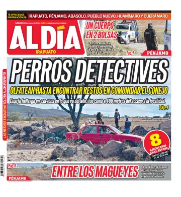 Periódico Al Día (Irapuato) - 13 Jan 2024