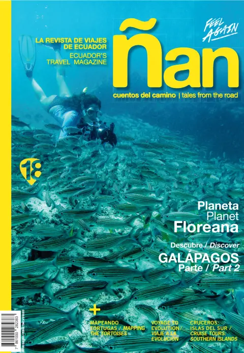 Ñan Magazine