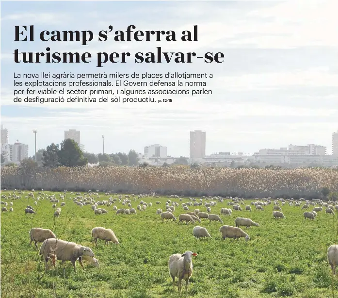 EL CAMP S’AFERRA AL TURISME PER SALVAR-SE