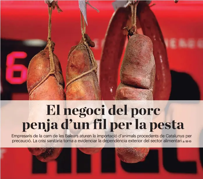 GUERRA ENTRE GOVERNS PEL LLOGUER DE BARQUES PRIVADES