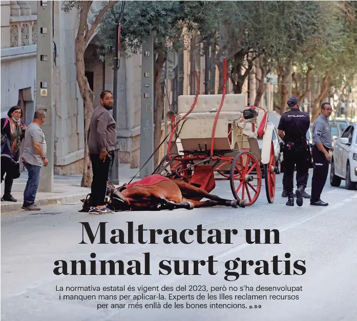 MALTRACTAR UN ANIMAL SURT GRATIS