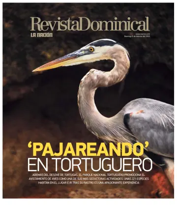 Revista Dominical - 06 feb. 2022