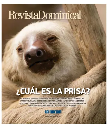 Revista Dominical - 12 2월 2023