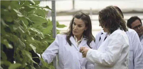 UNA VISITA HISTÓRICA: LA REINA LETIZIA EN LAS PALMERILLAS