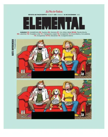 Elemental - 30 12月 2023
