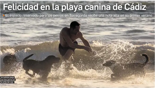 FELICIDAD EN LA PLAYA CANINA DE CÁDIZ