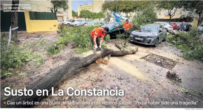 SUSTO EN LA CONSTANCIA