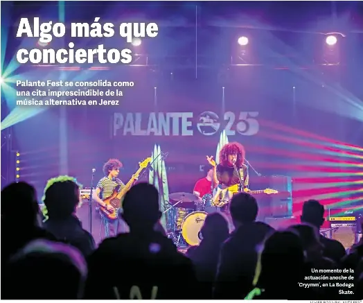 ALGO MÁS QUE CONCIERTOS