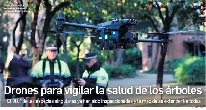 DRONES PARA VIGILAR LA SALUD DE LOS ÁRBOLES