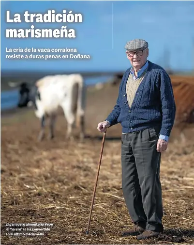 LA TRADICIÓN MARISMEÑA