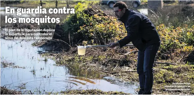 EN GUARDIA CONTRA LOS MOSQUITOS
