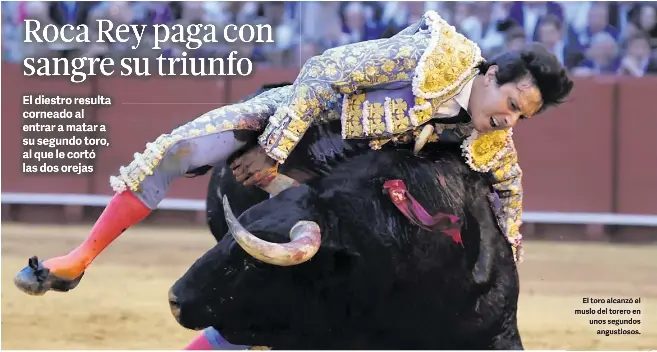 ROCA REY PAGA CON SANGRE SU TRIUNFO