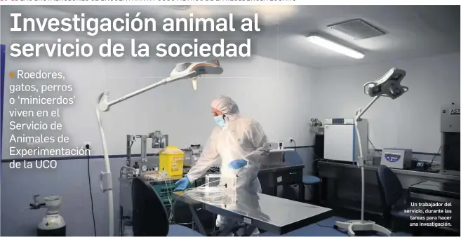 INVESTIGACIÓN ANIMAL AL SERVICIO DE LA SOCIEDAD