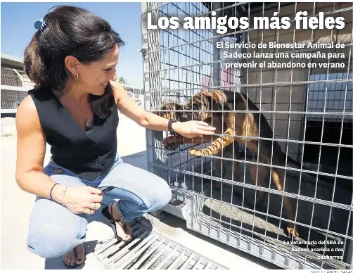 LOS AMIGOS MÁS FIELES