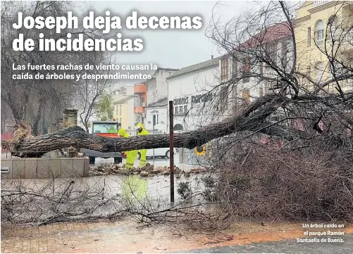 JOSEPH DEJA DECENAS DE INCIDENCIAS