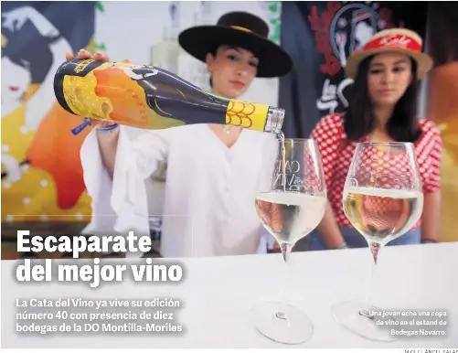 ESCAPARATE DEL MEJOR VINO
