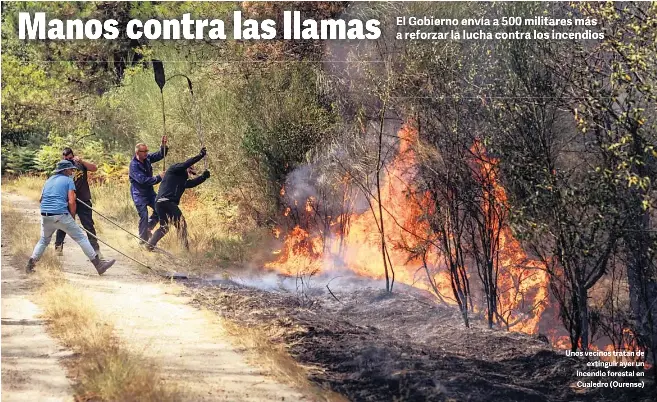 MANOS CONTRA LAS LLAMAS