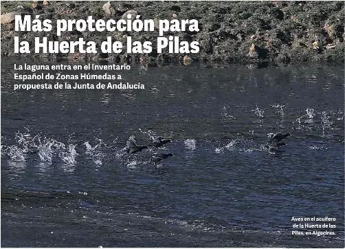 MÁS PROTECCIÓN PARA LA HUERTA DE LAS PILAS