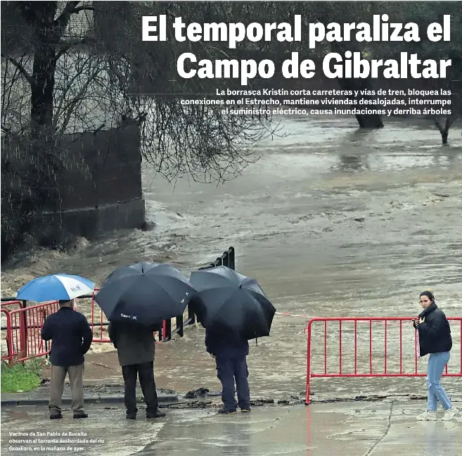 EL TEMPORAL PARALIZA EL CAMPO DE GIBRALTAR