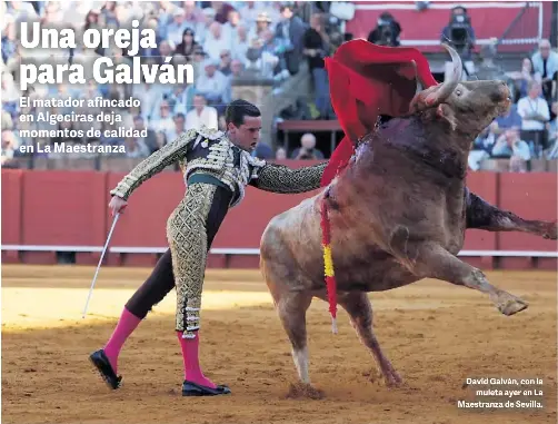 UNA OREJA PARA GALVÁN