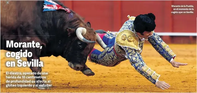 MORANTE, COGIDO EN SEVILLA