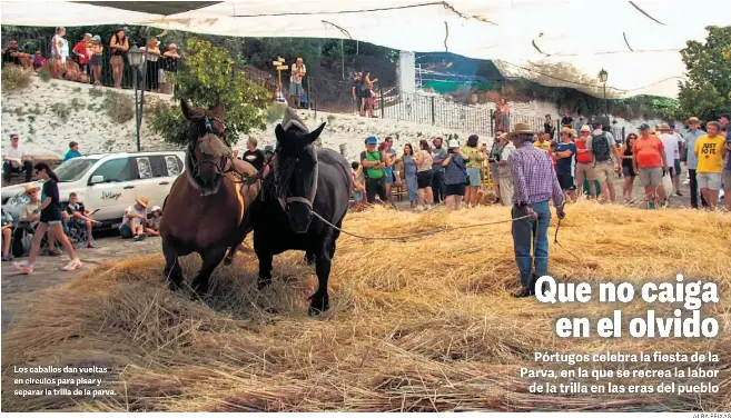 QUE NO CAIGA EN EL OLVIDO