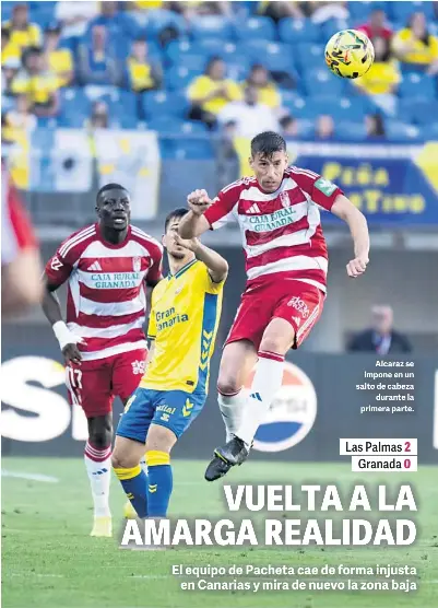 VUELTA A LA AMARGA REALIDAD