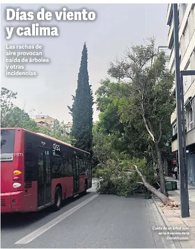 DÍAS DE VIENTO Y CALIMA