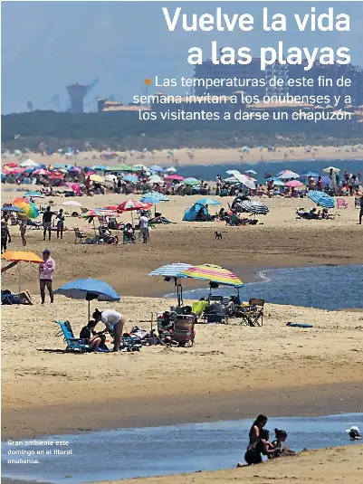 VUELVE LA VIDA A LAS PLAYAS