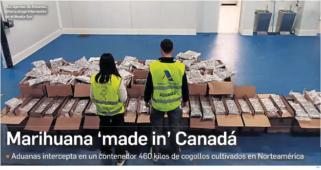 MARIHUANA ‘MADE IN’ CANADÁ