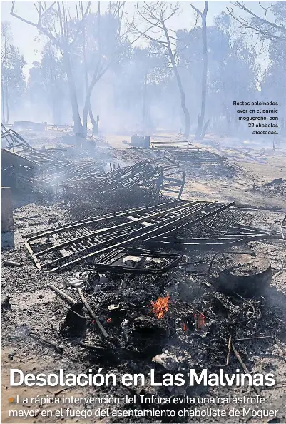DESOLACIÓN EN LAS MALVINAS